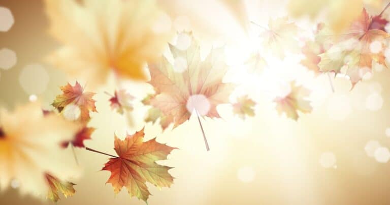 10 Enchanting Bible Verses for the Autumn Season