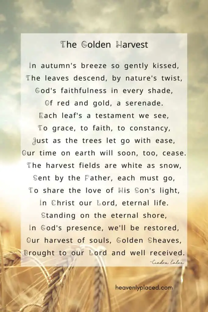 poem The Golden Harves written by Cindra Enloe